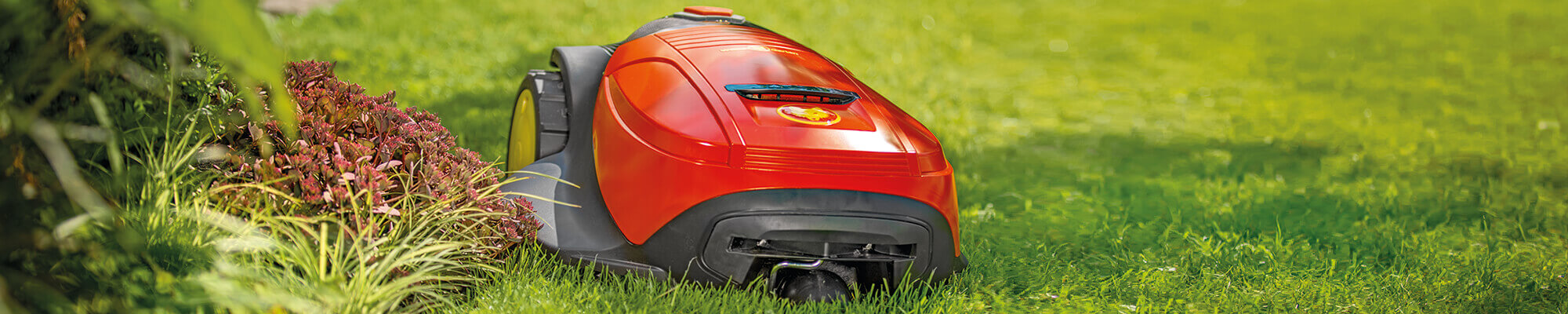 Wolf Loopo M Wolf Loopo M