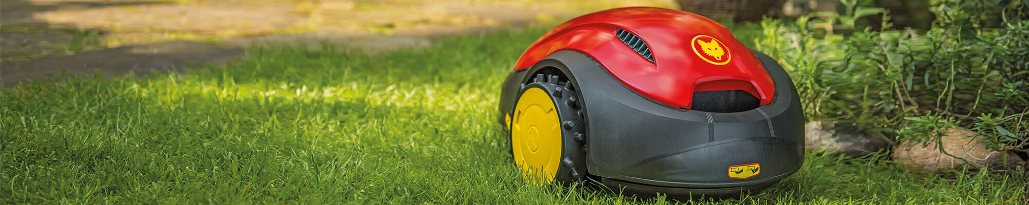 Wolf Loopo S Wolf Loopo S